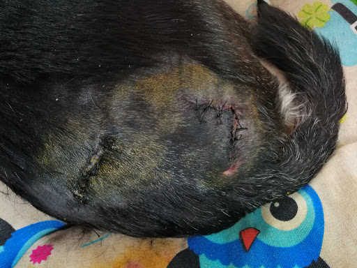 González Alonso, Francisco Javier en Guardo, Palencia