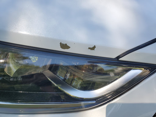 Hyundai Dealer «Hyundai City», reviews and photos