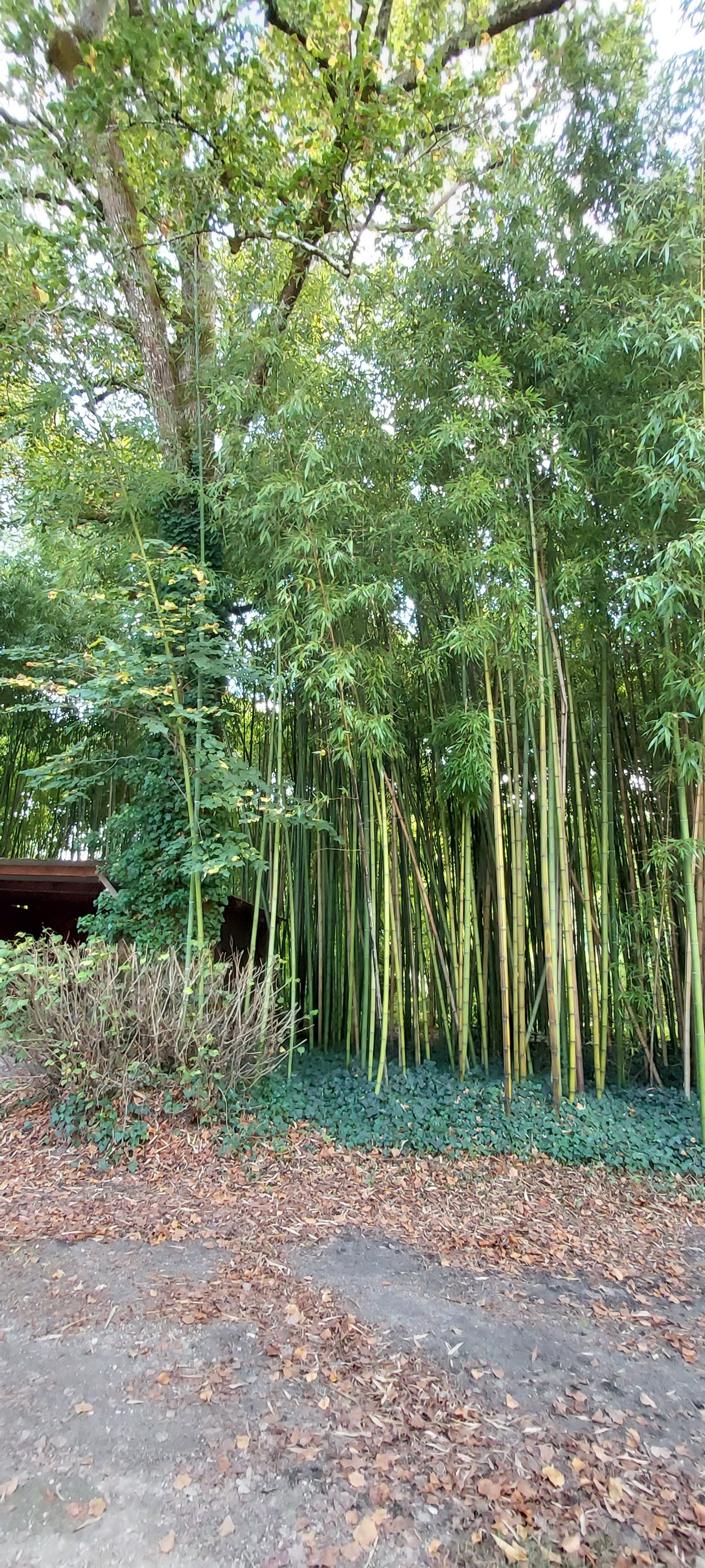 Photo n° 6 de l'avis de Florence.R fait le 04/10/2021 à 07:14