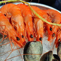 Photo n°128 de Arcachon 1900 à Arcachon ()