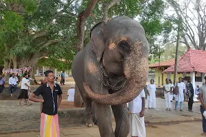 Ath gaala, Elephant park image