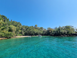 Foto von Whale Beach wilde gegend