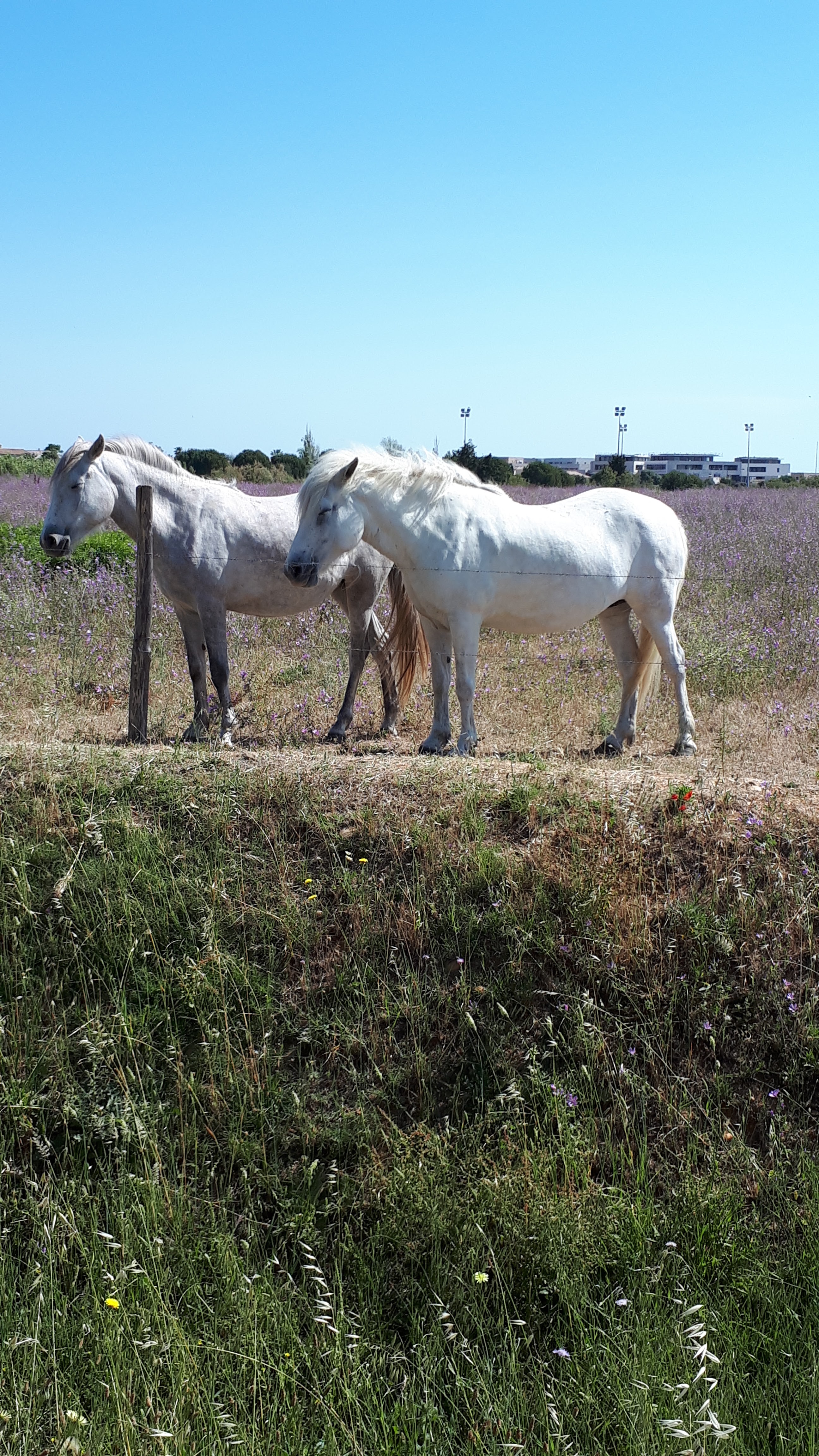 Photo n° 3 de l'avis de Valerie.r fait le 05/06/2019 à 13:40