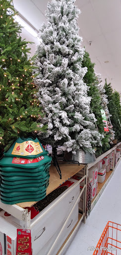 Discount Store «Big Lots», reviews and photos, 843 W Bloomingdale Ave, Brandon, FL 33511, USA