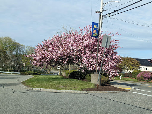 Supermarket «Super Stop & Shop», reviews and photos, 20 Teaticket Hwy, East Falmouth, MA 02536, USA