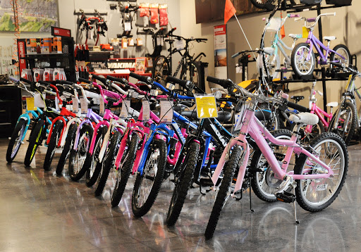 Bicycle Store «Village Bike & Fitness», reviews and photos, 450 Baldwin St, Jenison, MI 49428, USA