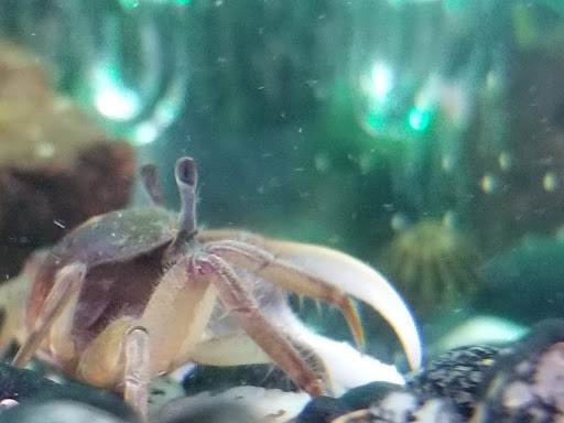 Pet Supply Store «Petco Animal Supplies», reviews and photos, 11633 Ulysses Ln NE #200, Blaine, MN 55434, USA