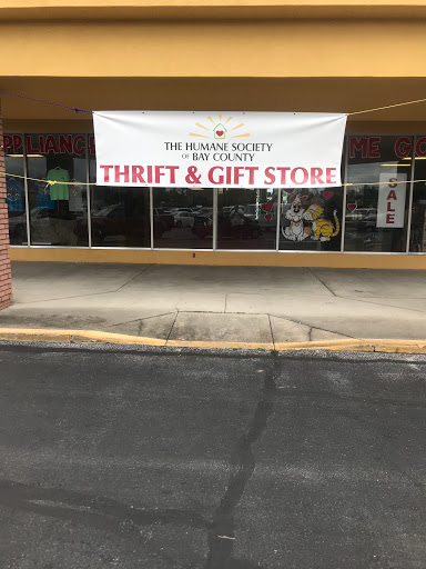 Thrift Store «Thrift Store for the Humane Society of Bay County», reviews and photos