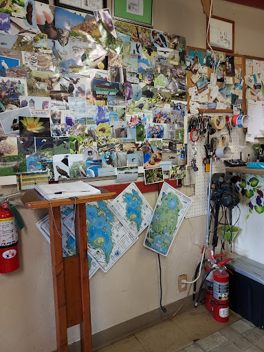 Recreation «Kissimmee Swamp Tours», reviews and photos, 4500 Joe Overstreet Rd, Kenansville, FL 34739, USA