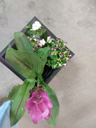 Home Improvement Store «The Home Depot», reviews and photos, 210 Cooley Way, Villa Rica, GA 30180, USA