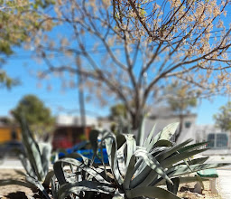 Parque Fraccionamiento Paula photo