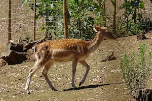 Ecological park Serra da Lousã image