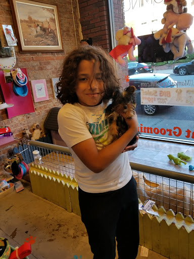 Pet Store «Mamas Papas Pet Shop», reviews and photos, 16 Engle St, Englewood, NJ 07631, USA