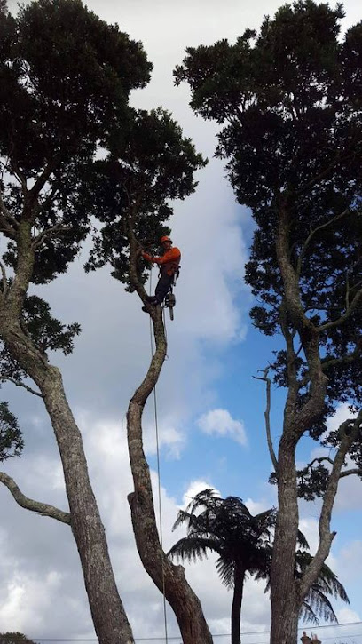 New Era Tree Service