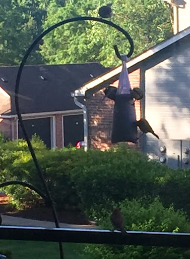 Hardware Store «Town & Country Hardware», reviews and photos, 1261 Kildaire Farm Rd, Cary, NC 27511, USA