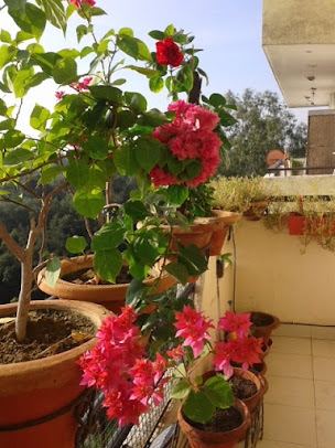 Google Maps image 10