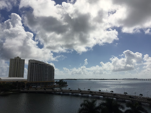 Consulate General of the Netherlands Foreign Consulate of Países Bajos in Miami