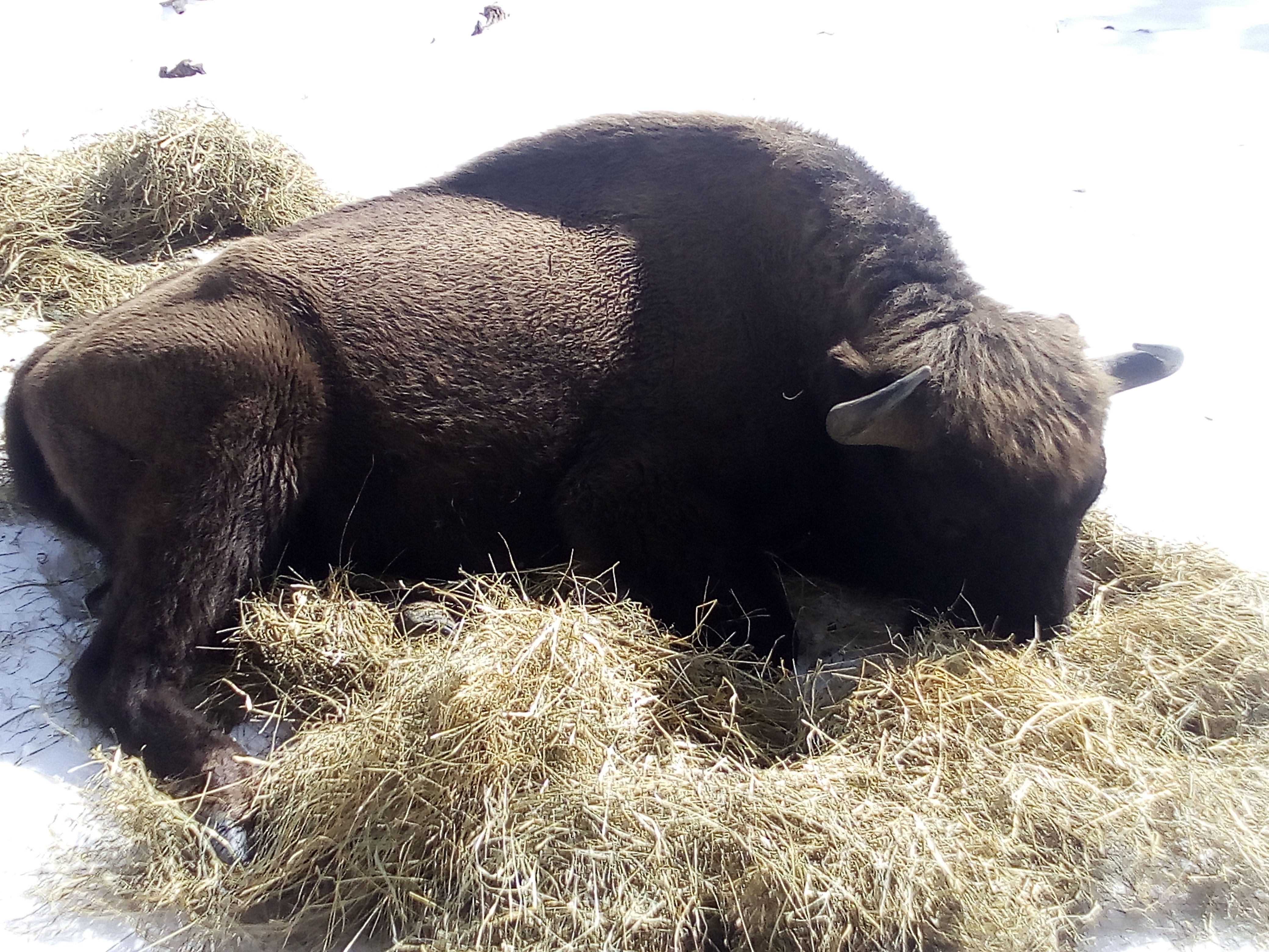 Photo n° 7 de l'avis de Sylvie.e fait le 05/04/2019 à 19:41