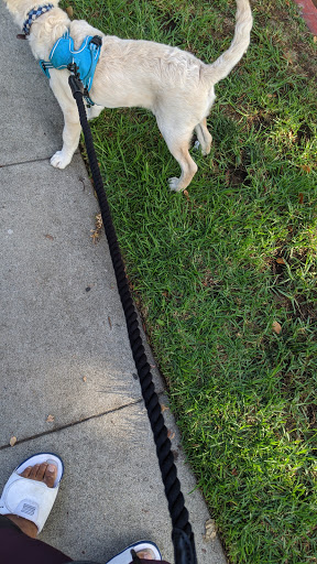 Pet Supply Store «Petco Animal Supplies», reviews and photos, 2910 Wilshire Blvd, Santa Monica, CA 90403, USA