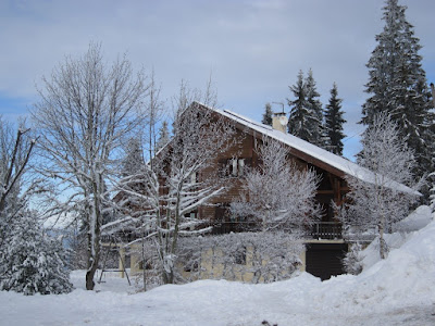 Chalet Yarelle appart. + spa à Allevard