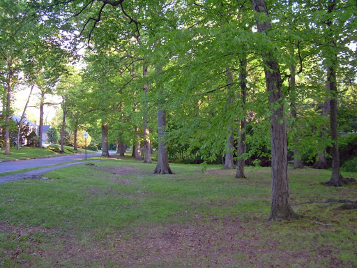 Park «Yantacaw Brook Park», reviews and photos, 30 Club Rd, Montclair, NJ 07043, USA