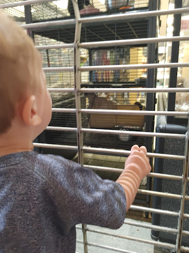 Pet Supply Store «Your Pet Experts», reviews and photos, 1665 State Hill Rd #490, Wyomissing, PA 19610, USA