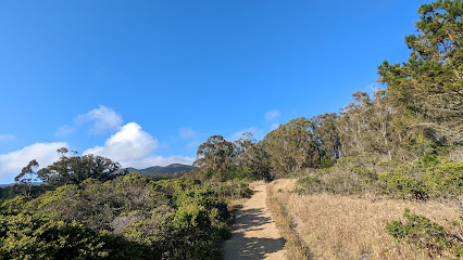 San Vincent Trail