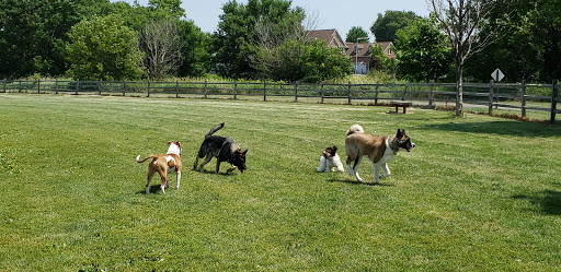 Dog Park «Daisy Dog Park», reviews and photos, 13214 Blakely Dr, Plainfield, IL 60585, USA