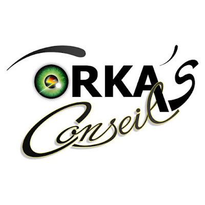 Orka's Conseil à La Guerche-de-Bretagne