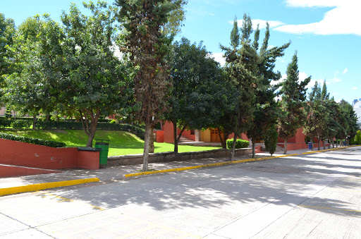 Instituto Lomas del Real