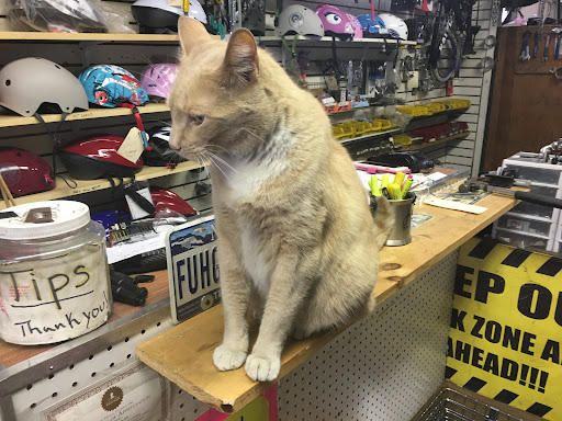 Bicycle Store «The Bike Shop», reviews and photos, 514 Court St, Brooklyn, NY 11231, USA