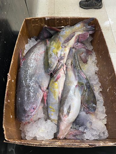 Convenience Store «Son Atlantic Market», reviews and photos, 135 Main St # 1, Danbury, CT 06810, USA