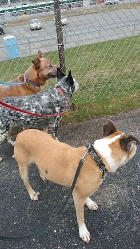 Park «Robert Moses State Park», reviews and photos, 32 Beach Marina Rd, Massena, NY 13662, USA