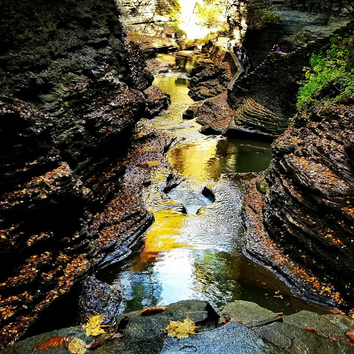 Tour Agency «Experience! The Finger Lakes», reviews and photos, 501 Warren Rd, Ithaca, NY 14850, USA