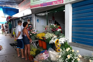 Mercado Municipal de Abreu e LIMA image