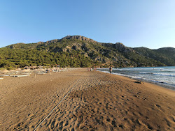 Zdjęcie Plaża Iztuzu położony w naturalnym obszarze