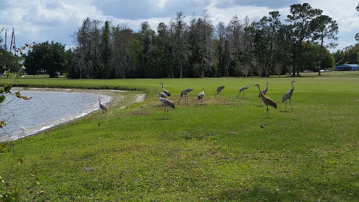 Golf Club «Kissimmee Golf Club», reviews and photos, 3103 Florida Coach Dr, Kissimmee, FL 34741, USA