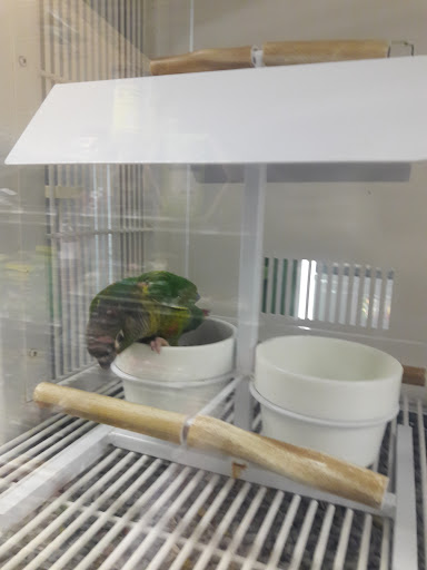Pet Supply Store «Petco Animal Supplies», reviews and photos, 3055 N President George Bush Hwy, Garland, TX 75040, USA