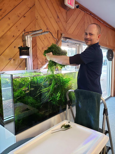 Pet Store «Bluewater Zoo Exotic Aquariums & Reptiles», reviews and photos, 159 Miracle Strip Pkwy SE, Fort Walton Beach, FL 32548, USA