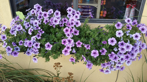 Pet Boarding Service «Idlewire Pet Care», reviews and photos, 5583 Harrison Blvd, South Ogden, UT 84403, USA