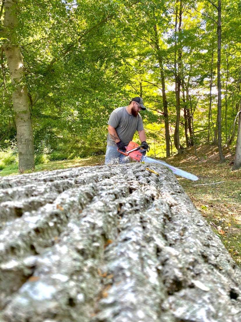 Bobs Tree Services