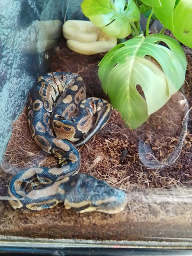 Pet Supply Store «Petco Animal Supplies», reviews and photos, 324 S College Rd, Wilmington, NC 28403, USA