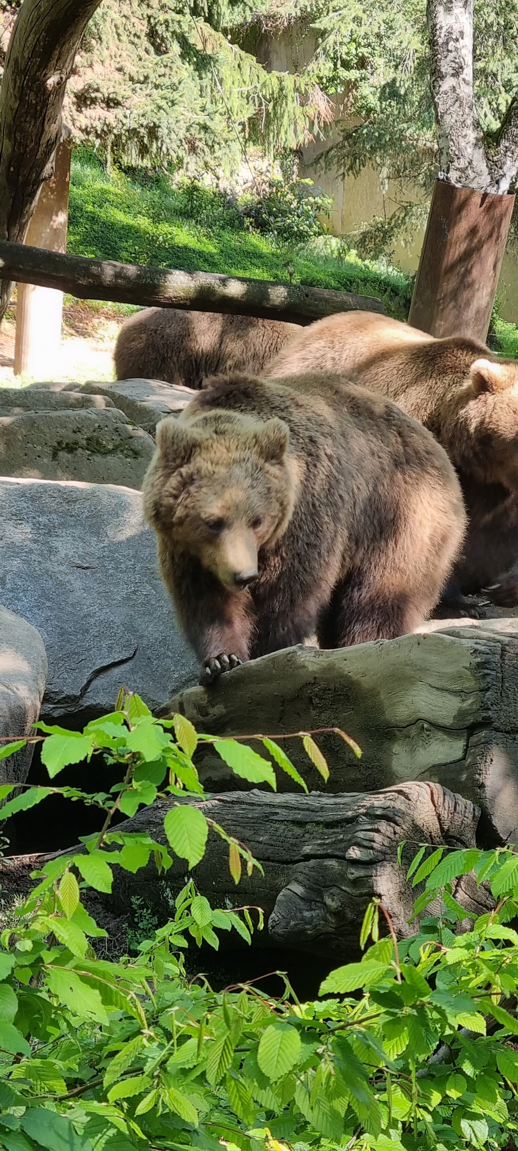 Photo n° 29 de l'avis de Anne.a fait le 25/04/2022 à 13:04