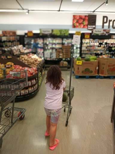 Grocery Store «Food Lion», reviews and photos, 6 Washington St, Cambridge, MD 21613, USA