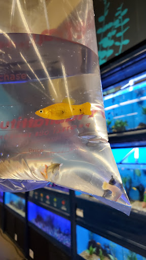 Pet Supply Store «Petco Animal Supplies», reviews and photos, 86 Storrs Rd, Mansfield Center, CT 06250, USA