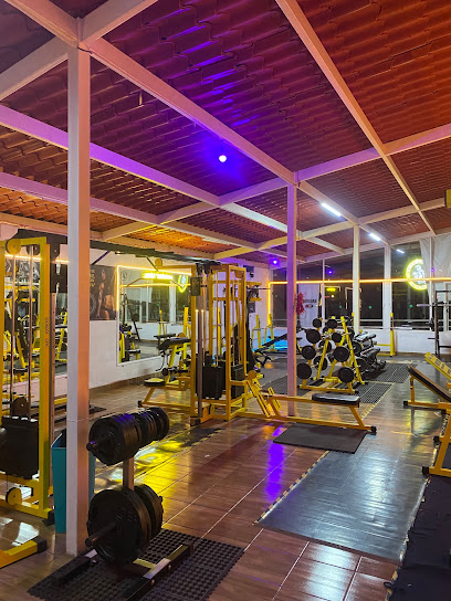 VIKINGOS GYM