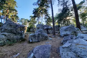Forêt de Fontainebleau image