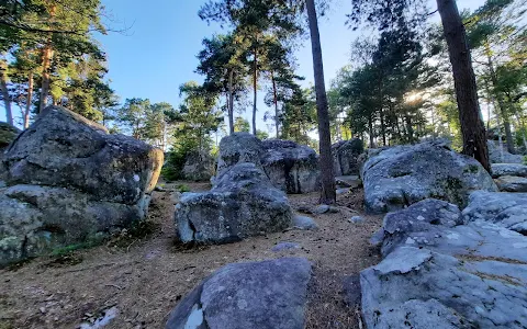 Forêt de Fontainebleau image