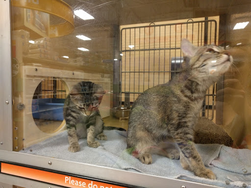 Pet Supply Store «PetSmart», reviews and photos, 1225 Industrial Rd, San Carlos, CA 94070, USA