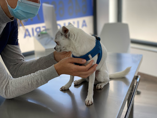 Clínica Veterinaria Cap I Cua Oliva en Oliva
